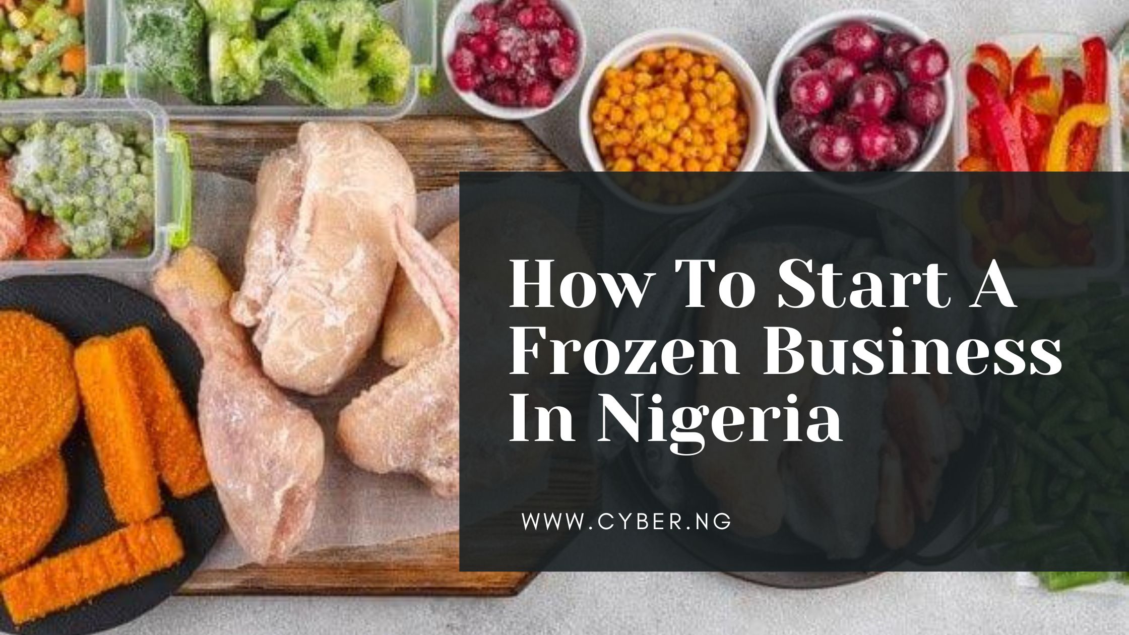 How To Start A Frozen Business In Nigeria Cyber Ng