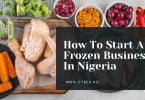 How To Start A Frozen Business In Nigeria