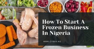 How To Start A Frozen Business In Nigeria