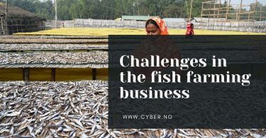 Challenges in the fish farming business