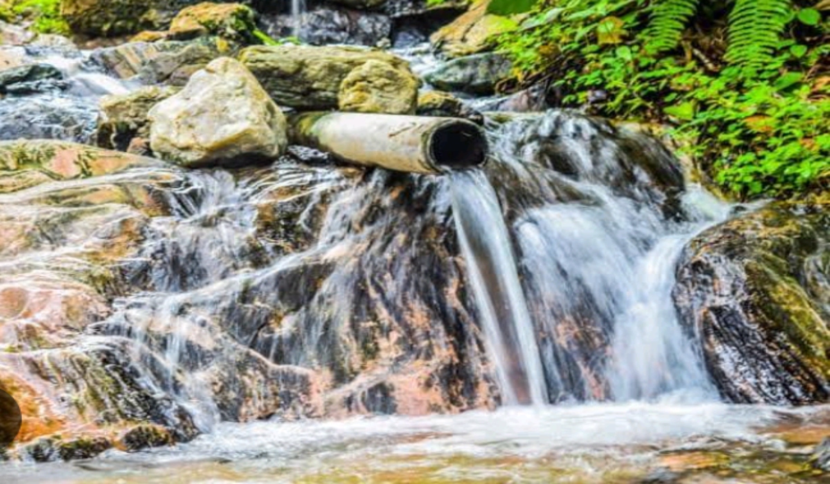 Ikogosi warm and cold springs 