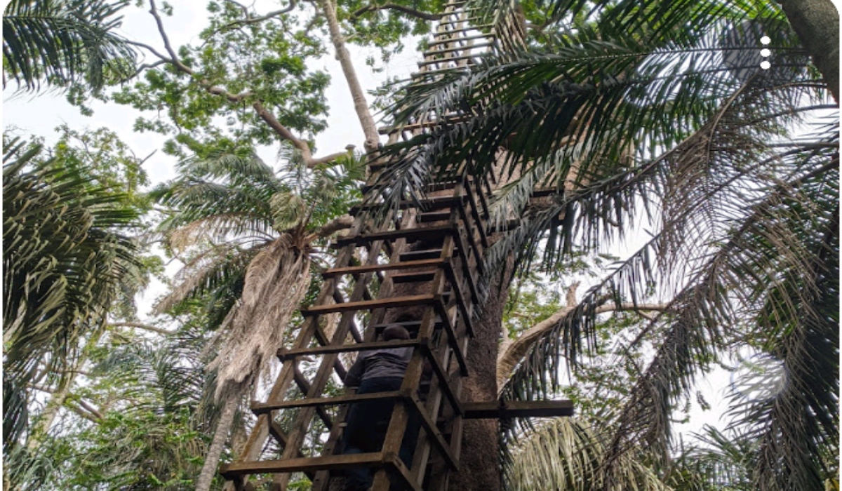 Lẹkki Conservation center