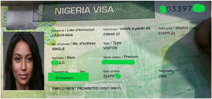 Get a tourist visa for Nigeria