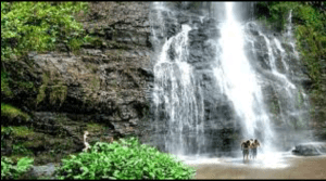 Owu Waterfalls 