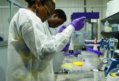 The Science and Technology Landscape in Nigeria
